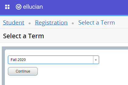 Screen shot showing term selection