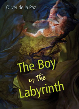 Boy from the Labyrinth cover