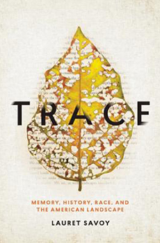 Trace