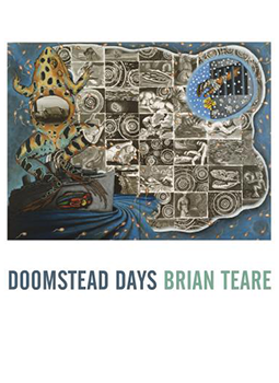 doomstead days cover